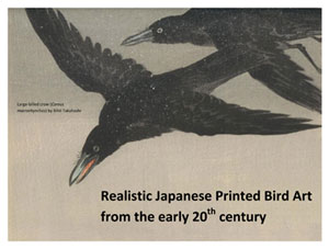 Realistic Japanese Printed Bird Art from the early 20th century Exhibition